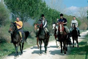 Colline Senesi